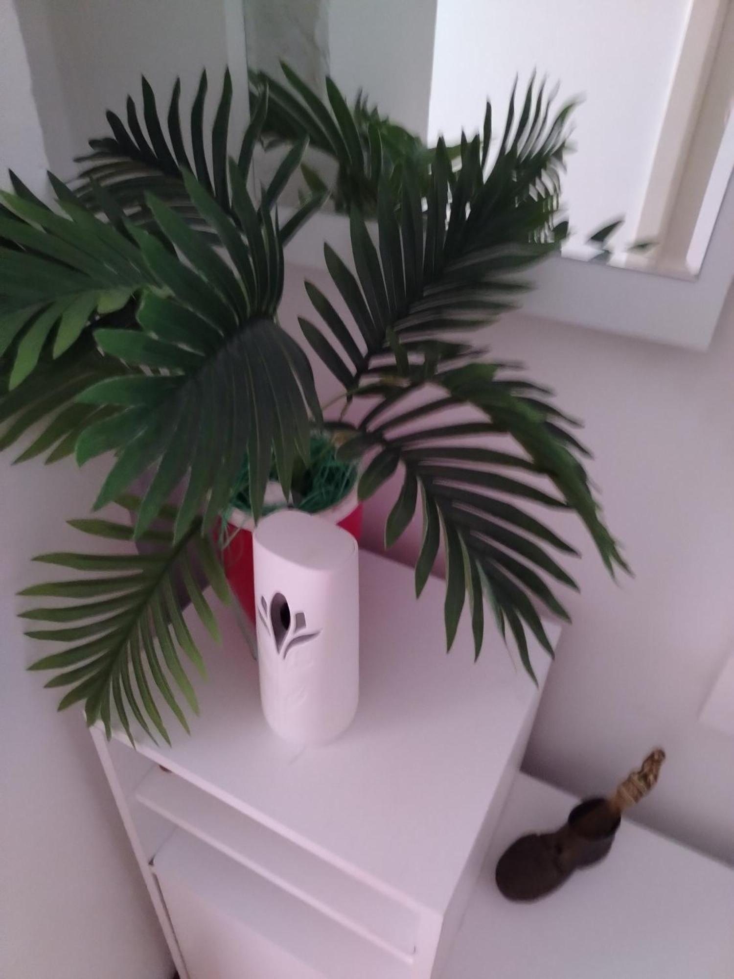 Apartman Mira Požarevac 外观 照片